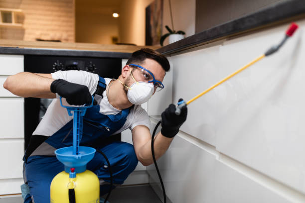 Best Local Pest Control Services  in South Barrington, IL