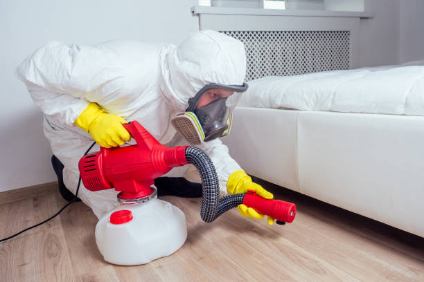 Best Rat Extermination Near Me  in South Barrington, IL