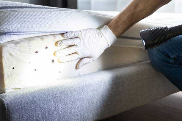 Best Cockroach Control Services  in South Barrington, IL