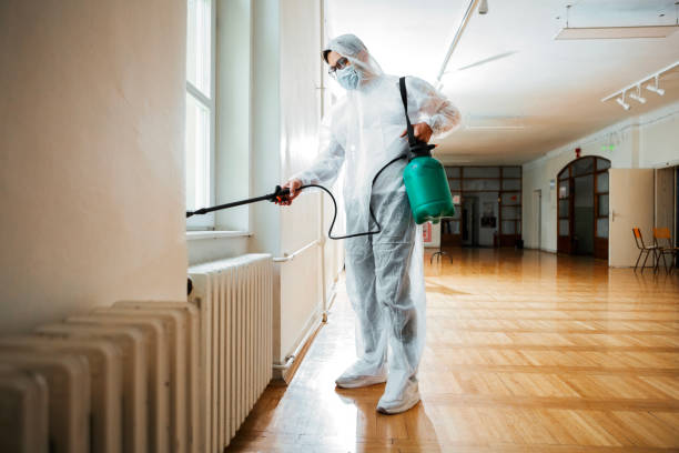 Best Wasp Removal Services  in South Barrington, IL